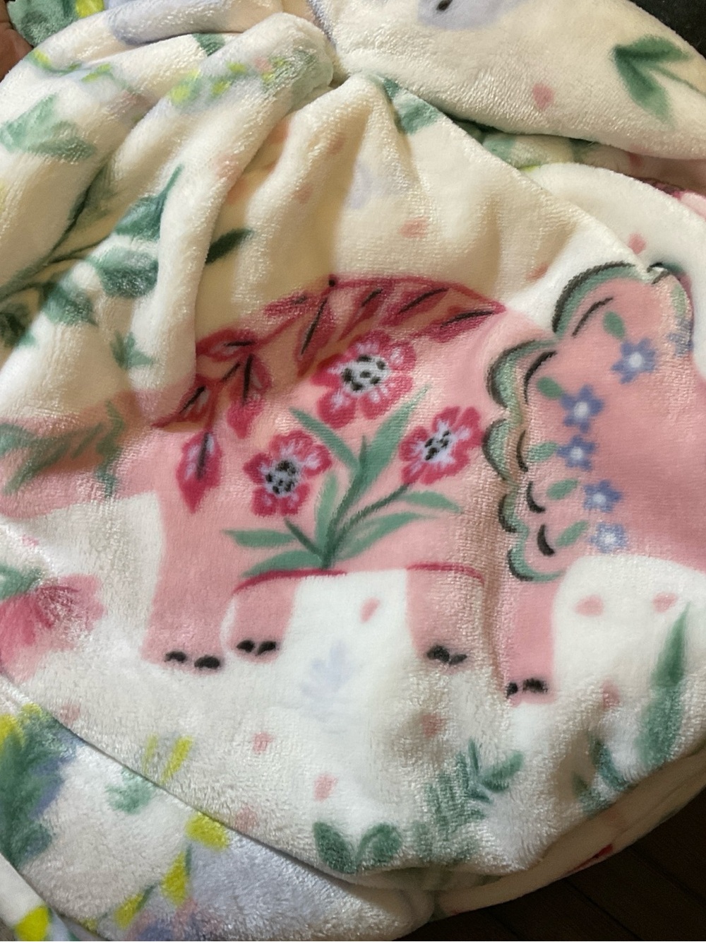 Leo's Fort Ultra Soft Luxe Plush Throw - Floral Dinosaur Print in White & Pastel - Picture 4 of 5